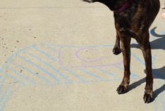 Our residents showed off their talent by designing a chalk masterpiece in front of their home. Every household that participated was entered to win a prize. The Popsicle Patrol kicked off the event by handing out polsicles to everyone who was outside chal